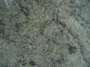 Lusitane matériaux de construction pour vous granit vert