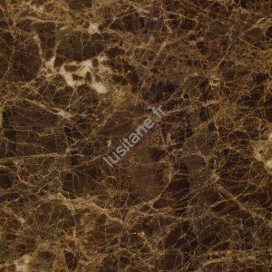 dallage marbre marron