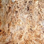 Lusitane matériaux de construction pour vous travertin marron noix