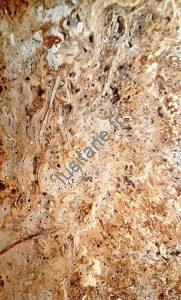 travertin marron noix