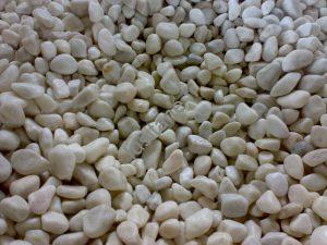 Lusitane matériaux de construction pour vous Galet marbre blanc