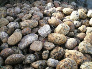 Lusitane matériaux de construction pour vous Galet granit jaune