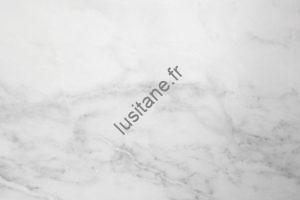 dallage marbre blanc gris