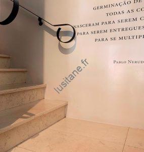 Lusitane matériaux de construction pour vous escalier pierre intérieur