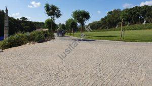 Lusitane matériaux de construction pour vous pave granit brut gris