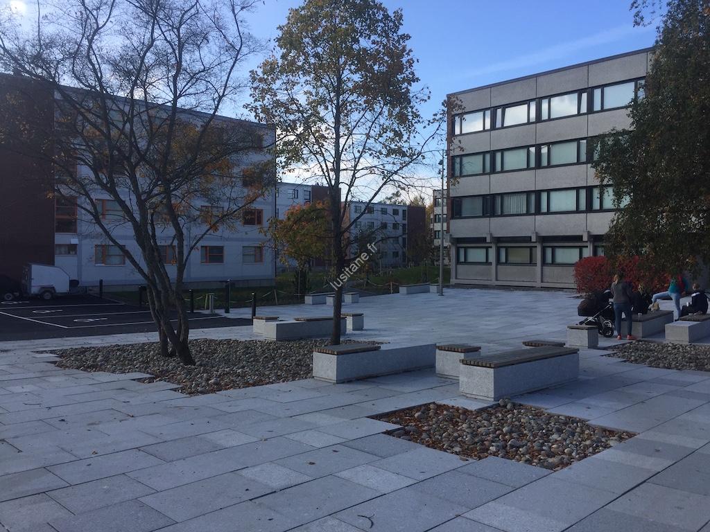 Lusitane matériaux de construction pour vous dalle granit gris